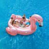 Flamingo Party Island