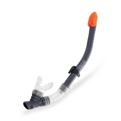 Set Reef Rider