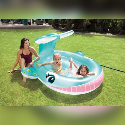 Whale Spray Pool 201