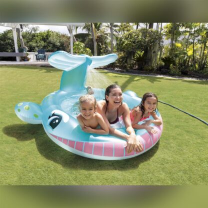Whale Spray Pool 201
