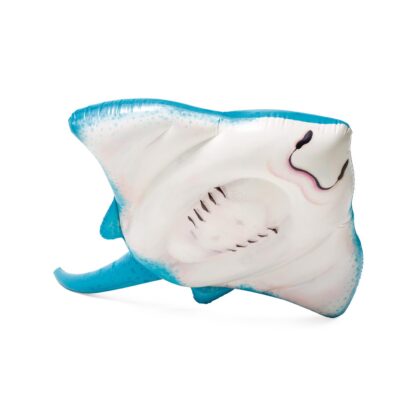 Stingray Ride-On