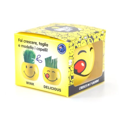 Blumentopf-Set Smiley