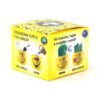 Blumentopf-Set Smiley