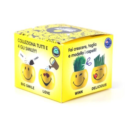 Blumentopf-Set Smiley