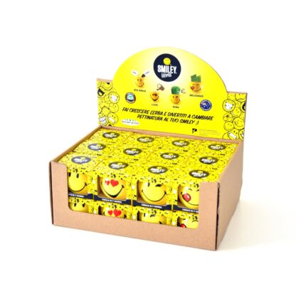 Blumentopf-Set Smiley