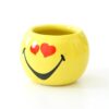 Blumentopf-Set Smiley