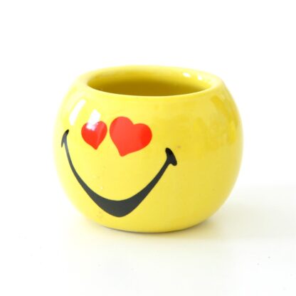 Blumentopf-Set Smiley