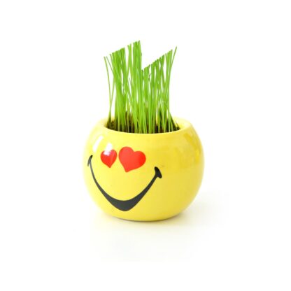 Blumentopf-Set Smiley