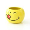 Blumentopf-Set Smiley