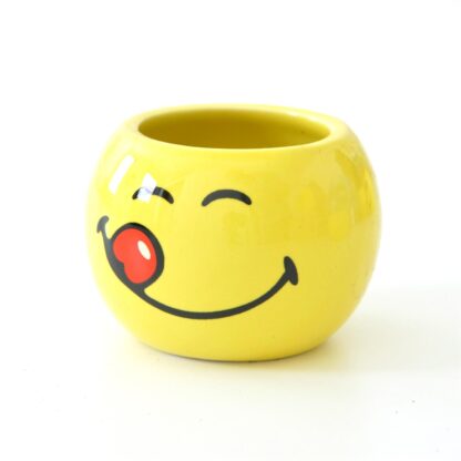 Blumentopf-Set Smiley
