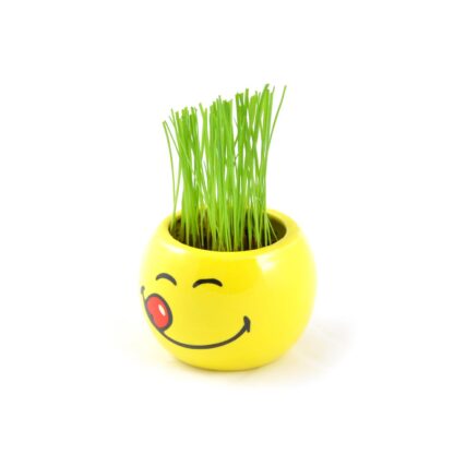 Blumentopf-Set Smiley