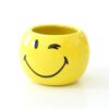 Blumentopf-Set Smiley
