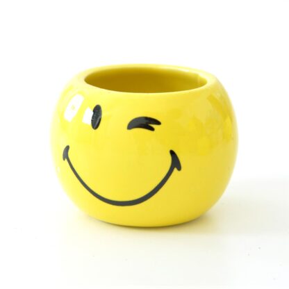 Blumentopf-Set Smiley