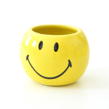 Blumentopf-Set Smiley