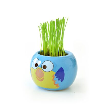 Kit vasetto Animali Giungla