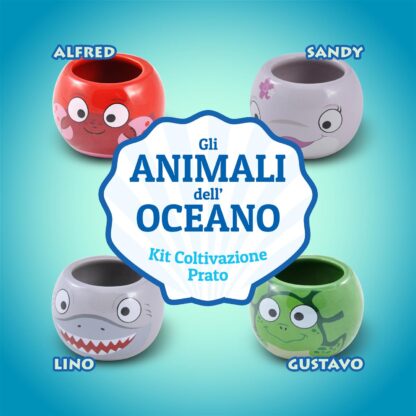 Kit vasetto Animali dell'Oceano