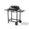 Barbecue Gas 2F