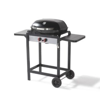 Barbecue Gas 2F