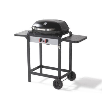 Barbecue Gas 2F