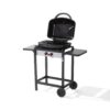 Barbecue Gas 2F