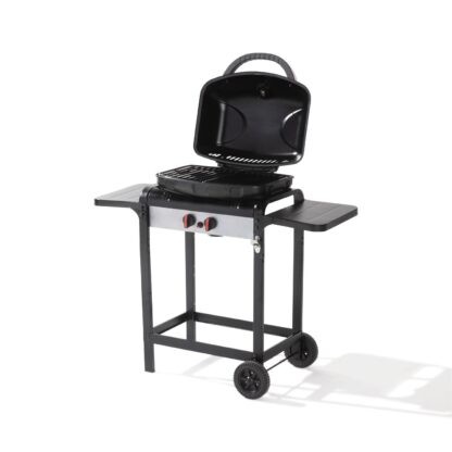 Barbecue Gas 2F