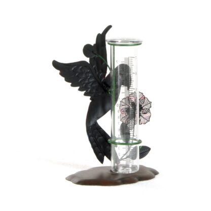 Pluviometro pappagallo h 24 cm