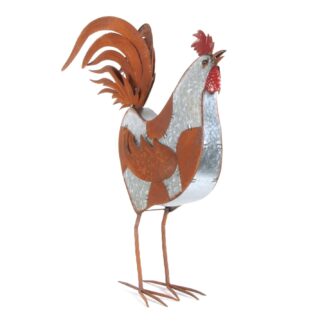Gallo decorativo h 72 cm