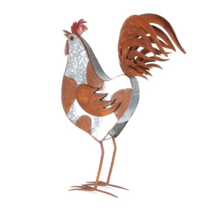 Gallo decorativo h 72 cm
