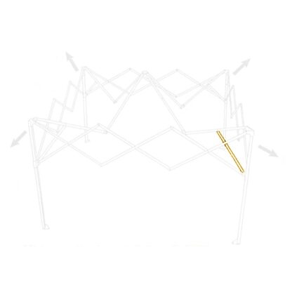 Arm