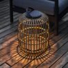 Muses Lantern L