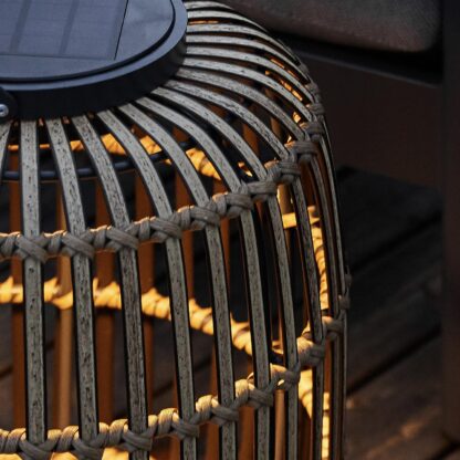 Muses Lantern L