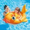 Cruiser Float