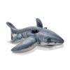 Great White Shark