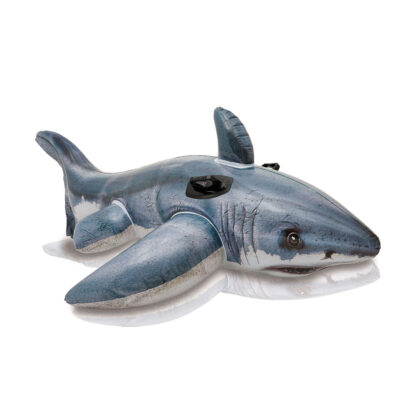 Great White Shark