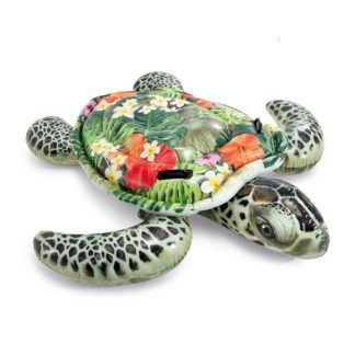 Ride-On Turtle