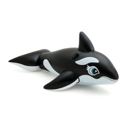 Whale