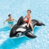 Cavalcabile Orca