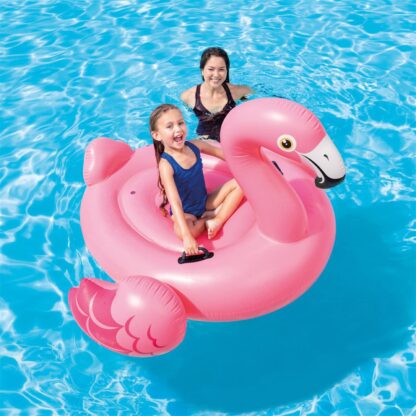 Flamingo Ride-On