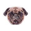 Pug Face Island