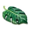 Palm Leaf Floating Mattress