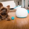 iFetch Lanciapalline Automatico