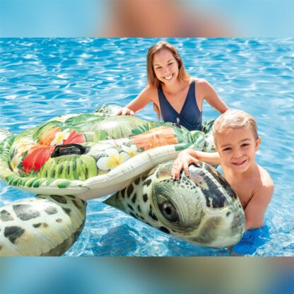 Ride-On Turtle