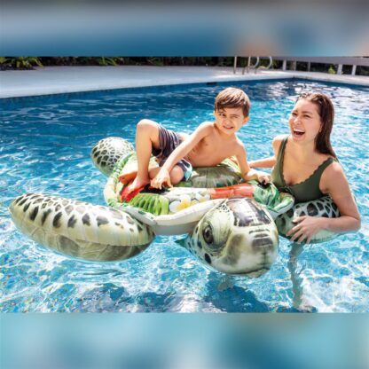 Ride-On Turtle