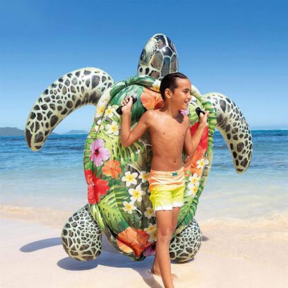 Ride-On Turtle