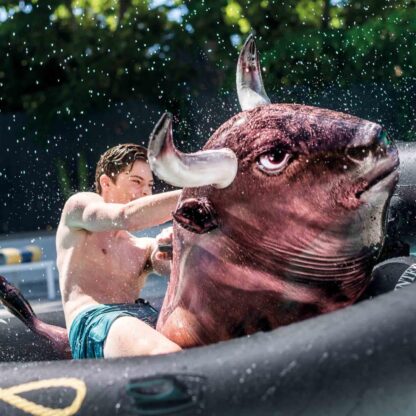 Inflatabull