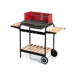 Charcoal Barbecue 100