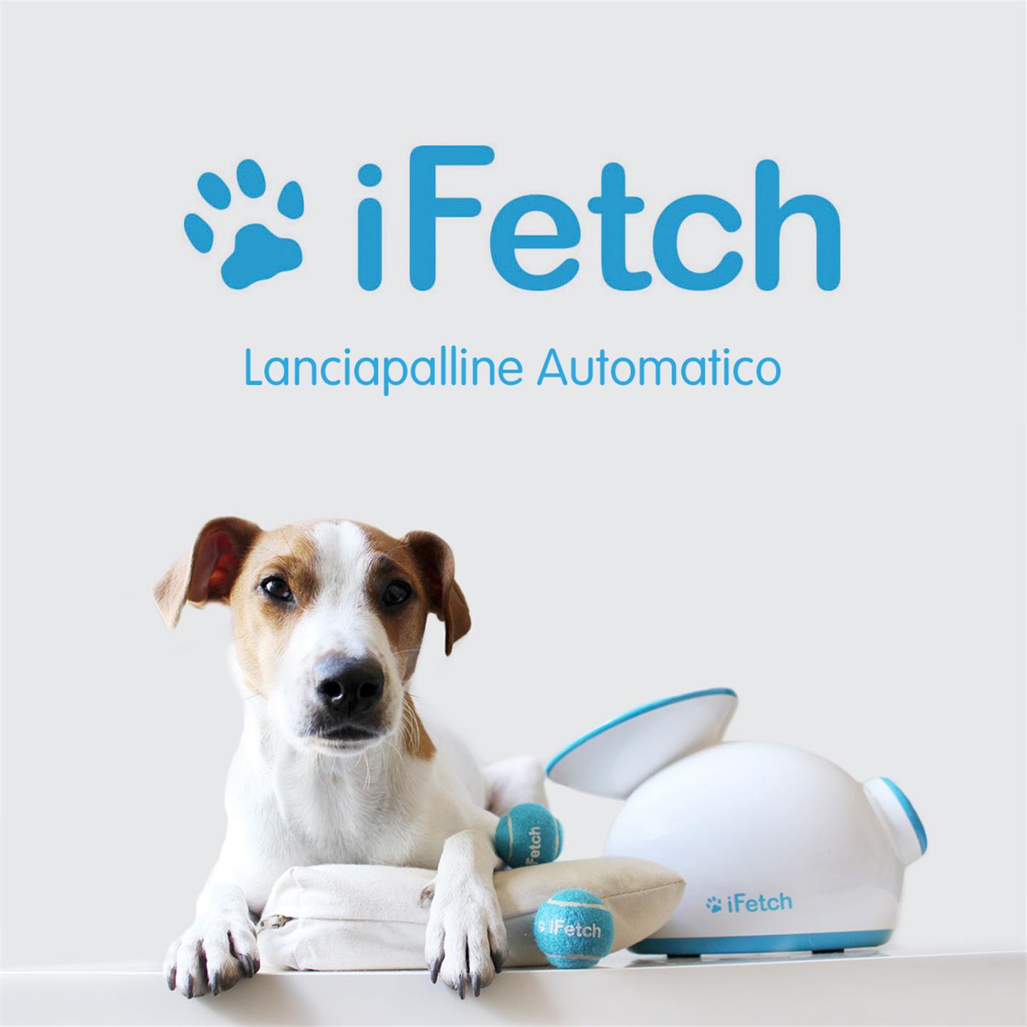 iFetch Ballwerfer – Bild 4